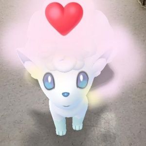 Meet your Posher, Vanessa